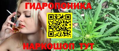 герыч Бийск