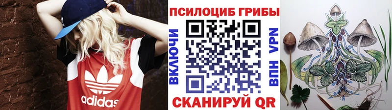 как найти закладки  Красноперекопск  Галлюциногенные грибы Psilocybe 