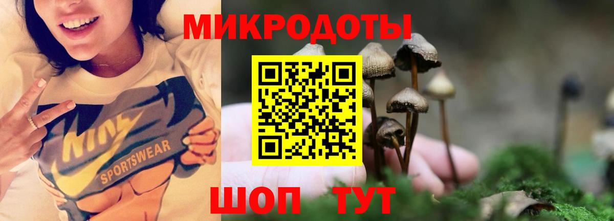 Красноперекопск  Галлюциногенные грибы ЛСД  Вход с VPN 